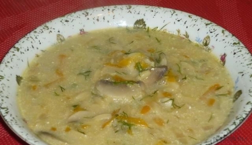 Pieczarkowa zupa z koperkiem 