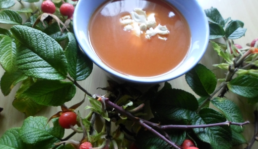 Nyponsoppa - zupa z owoców dzikiej róży