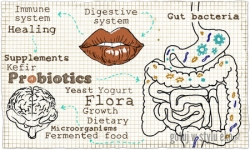 Probiotyki i prebiotyki w naszym życiu.