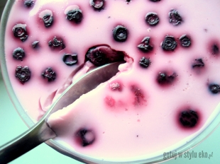 Jogurtowa galaretka z owocami :) 