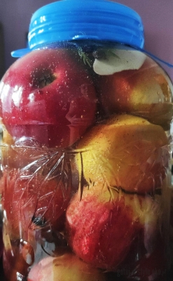 Jabłka kiszone z przyprawami korzennymi