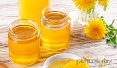 Mniszek niepozorna roślina o niezwykłych właściwościach