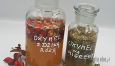 Oxymel – co to jest, historia, właściwości, zioła oxymelowe, receptury i  domowa produkcja