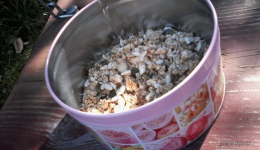 Granola z ryżem preparowanym i chia