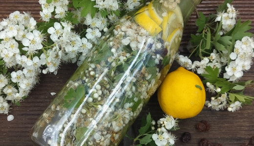Lemoniada z kwiatów głogu