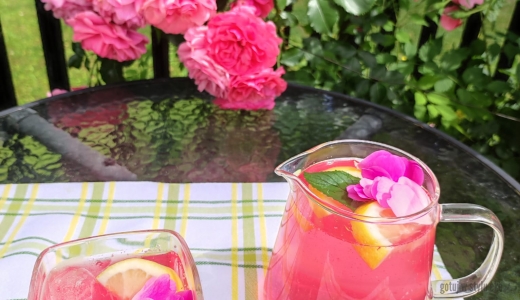 Napój ze świeżych płatków róży