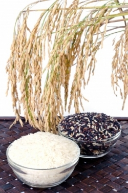 Czarny ryż, cesarska potrawa