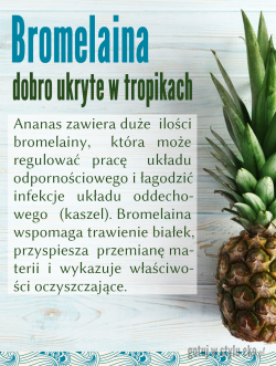 Ananas – źródło bromelainy o niezwykłych właściwościach