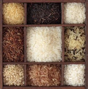 Ziarnko do ziarnka zbierze się ryżu miarka