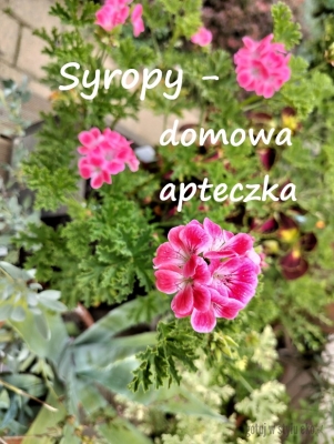Domowe syropy dla zdrowia i smaku
