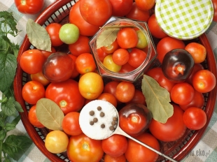 Prosty przepis na pomidorki w zalewie z miętą na zimę.