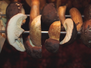 Suszenie grzybów - 5 domowych sposobów