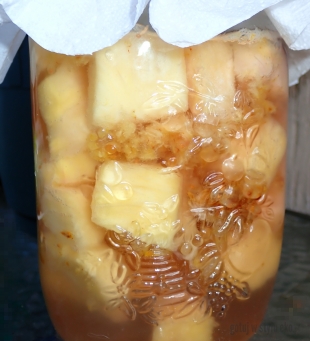 Ocet ananasowy z figami